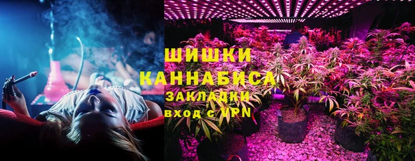 стаф Богородск