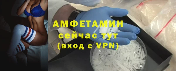 стаф Богородск