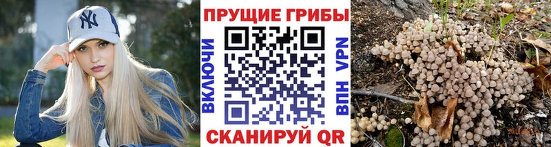 Купить где  Новосокольники  Галлюциногенные грибы Magic Shrooms 